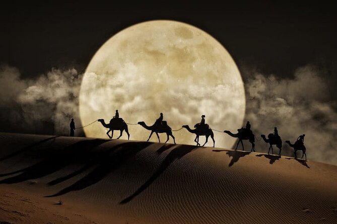 Night Desert Safari, Stargazing, Dune Driving & Inland Sea Visit - Key points at a glance