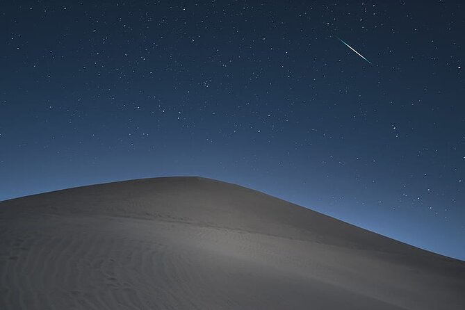 Night Desert Safari, Stargazing, Dune Driving & Inland Sea Visit - Who will enjoy this safari most