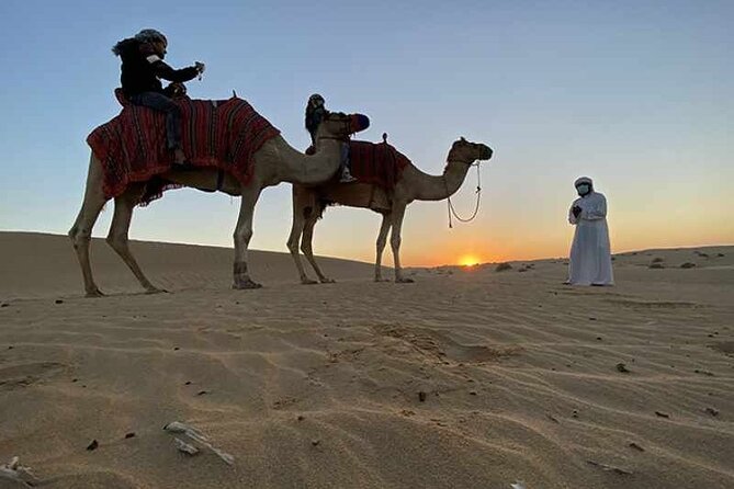 No Rush Desert Safari: 6-Hour Adventure & Inland Sea Relaxation - Dune bashing across southern Qatar