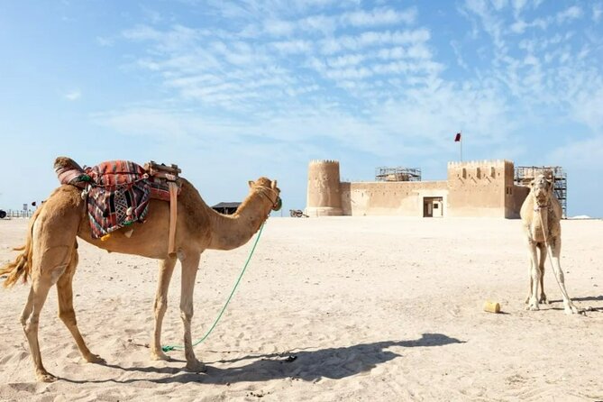 North of Qatar Tour to Olafur Eliasson,Zubara Fort,Jumail Village - Timing, transport, and the private format
