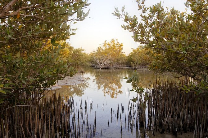 North of Qatar Tour, Zubara Fort, Mangroves, Jumail Village - Al Zubarah Fort and Qatar’s trading past