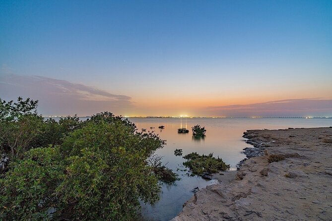 North of Qatar Tour, Zubara Fort, Mangroves, Jumail Village - Al Jumail Village, where the past feels personal