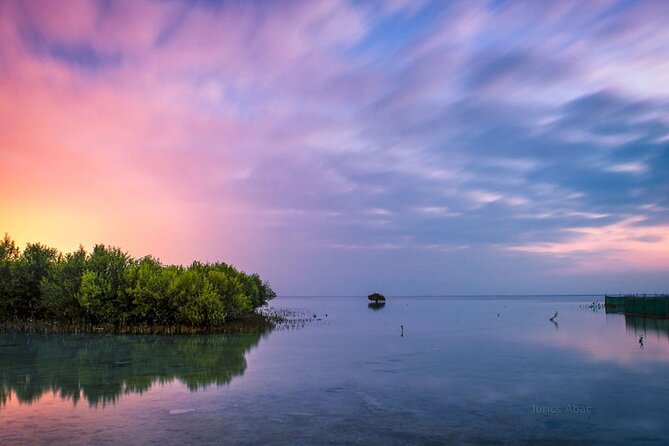 North of Qatar Tour, Zubara Fort, Mangroves, Jumail Village - Timing, weather, and what to bring