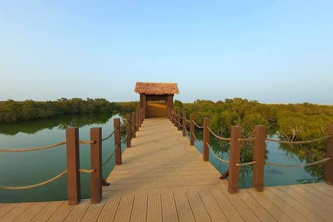 North of Qatar Tour|Zubara Fort, Purple Island & Mangroves Colony - Leaving Doha for Qatar’s northern coast
