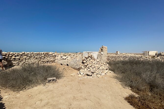 North Qatar Guided Expedition to Nature Charms - Why the guide can shape the whole experience