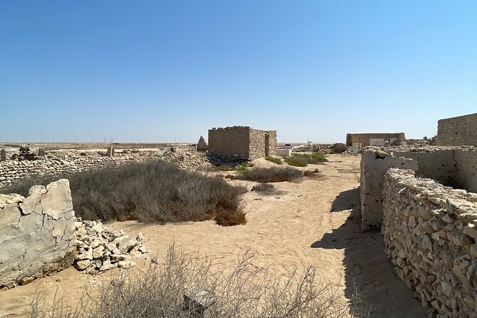 North Qatar Guided Expedition to Nature Charms - Al Khor harbor and Qatars working coast
