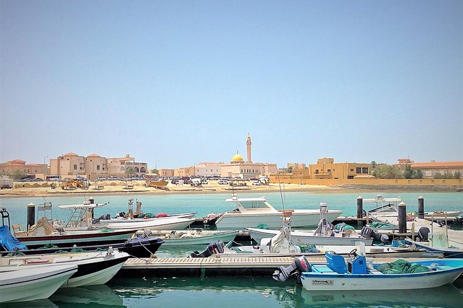 North Qatar Half-Day Tour: Al Zubarah, Purple Island & Mangroves - Al Zubarah Fort, the clear highlight