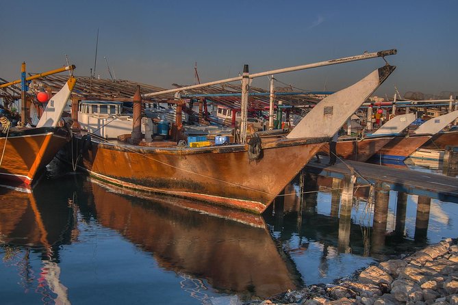 North Qatar Half-Day Tour: Al Zubarah, Purple Island & Mangroves - What the guide can add to the experience