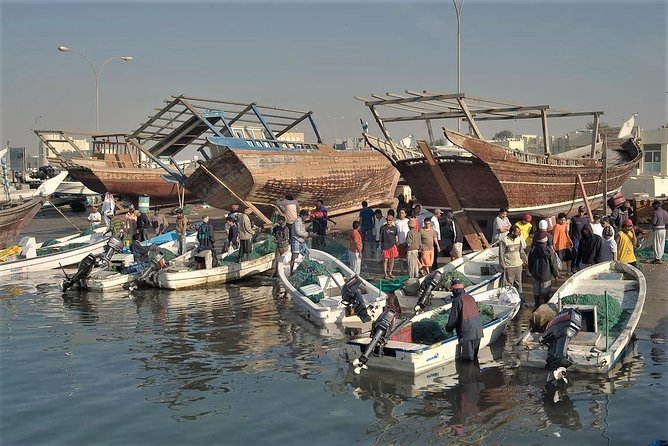 North Qatar Half-Day Tour: Al Zubarah, Purple Island & Mangroves - Dress, weather, and practical preparation