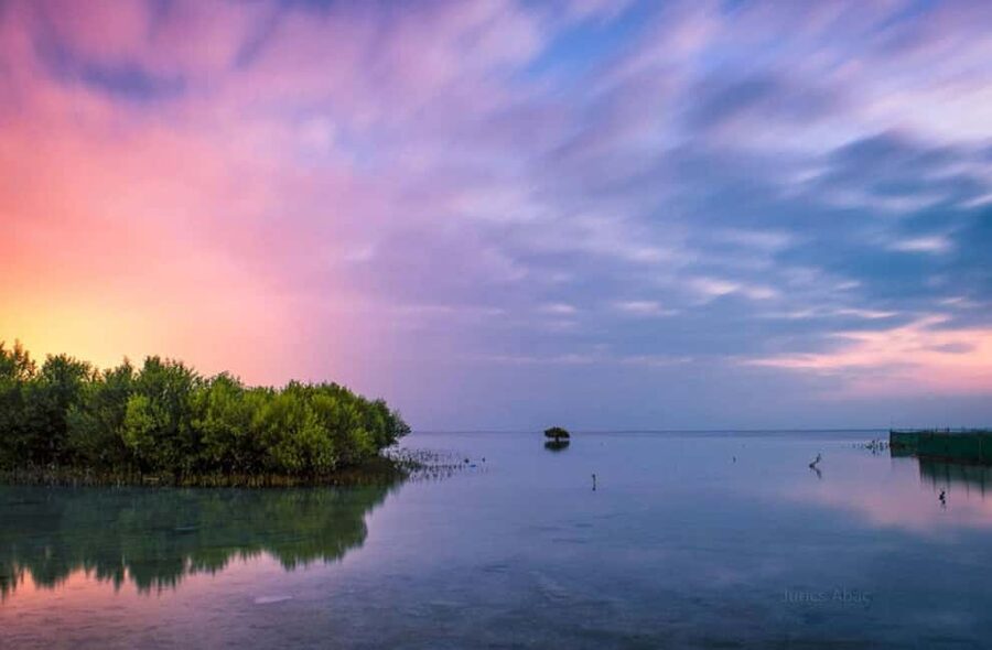 North Qatar: Zubara Fort, Jumail Village, Thakhira Mangroves - Why North Qatar feels different from Doha