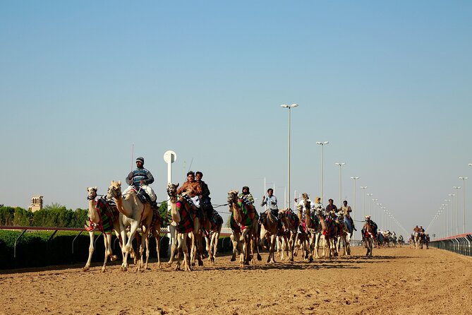 Private Combo North and West of Qatar Tour 8hours - Zekreet’s rock formations and fort ruins