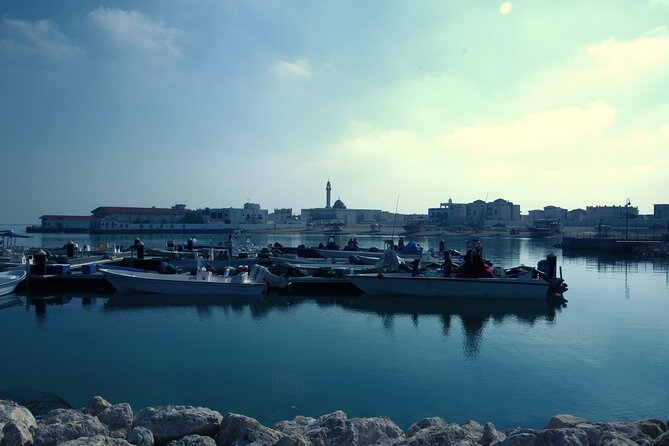 Private Combo North and West of Qatar Tour 8hours - How the private format affects value