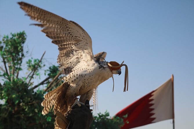 Private Desert Safari Tour 4 hours - A short private safari with a big change of scenery