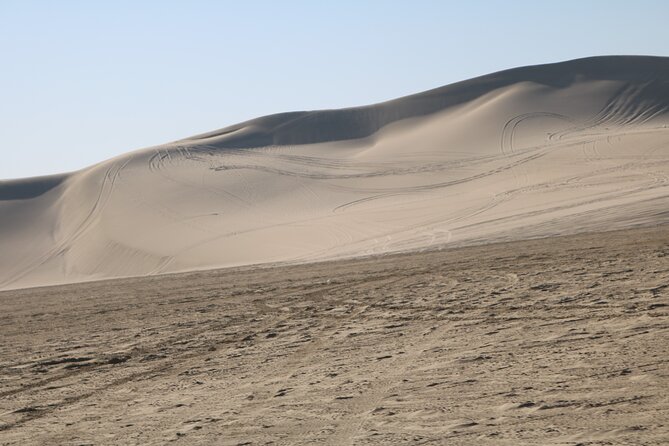 Private Desert Safari Tour 4 hours - Khor Al Udaid, where sand meets the sea