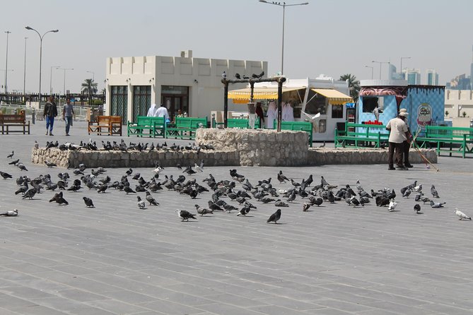 Private Doha Express Tour - What the private vehicle adds