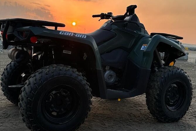 Private-Doha Horse Ride/Camel Ride/Quad Bike All Inclusive Tour - Pickup makes this easier to arrange