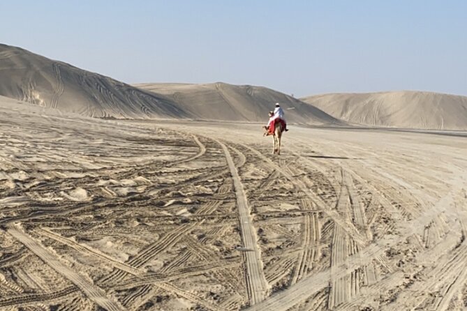 Private Dunes Bashing | Desert Safari | Sand Boarding - The camel camp, falcons, and extra costs