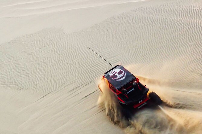 Private Full Day Desert Safari Dinner and Camel Ride in Doha - Key points to know before booking