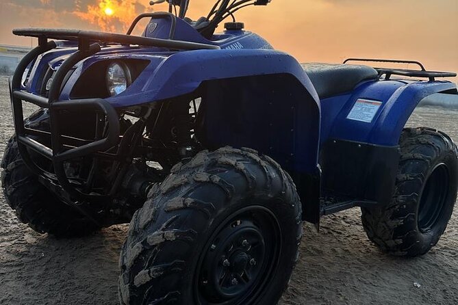 Private Full Day Desert Safari Dinner and Camel Ride in Doha - The Bedouin camp and dinner