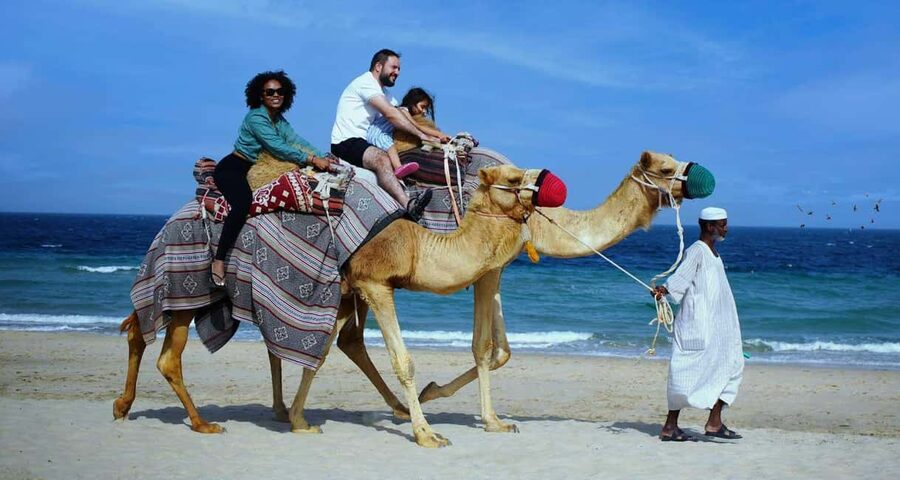 Private Full-Day Desert Tour - Key points to know before you book