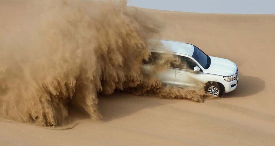 Private Full-Day Desert Tour - Leaving Doha for Sealine and the open desert
