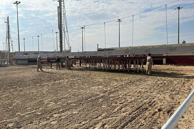 Private Full Day Guided Tour in Qatar North and West - Al Jumail gives you a closer look at village life
