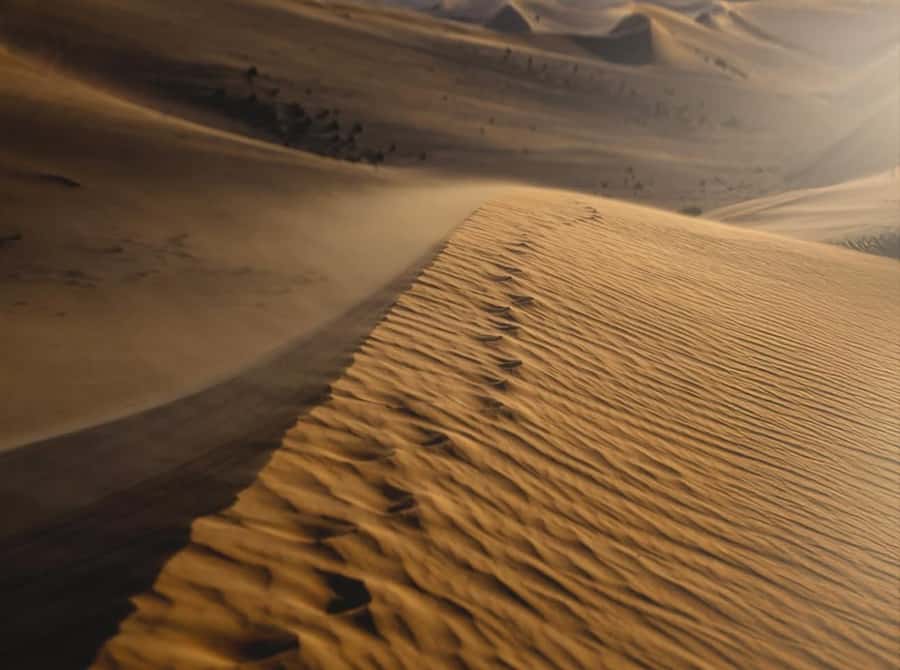 Private Gentle Sands Desert Experience Without Dune Bashing - Why this Qatar desert trip is good value at $16