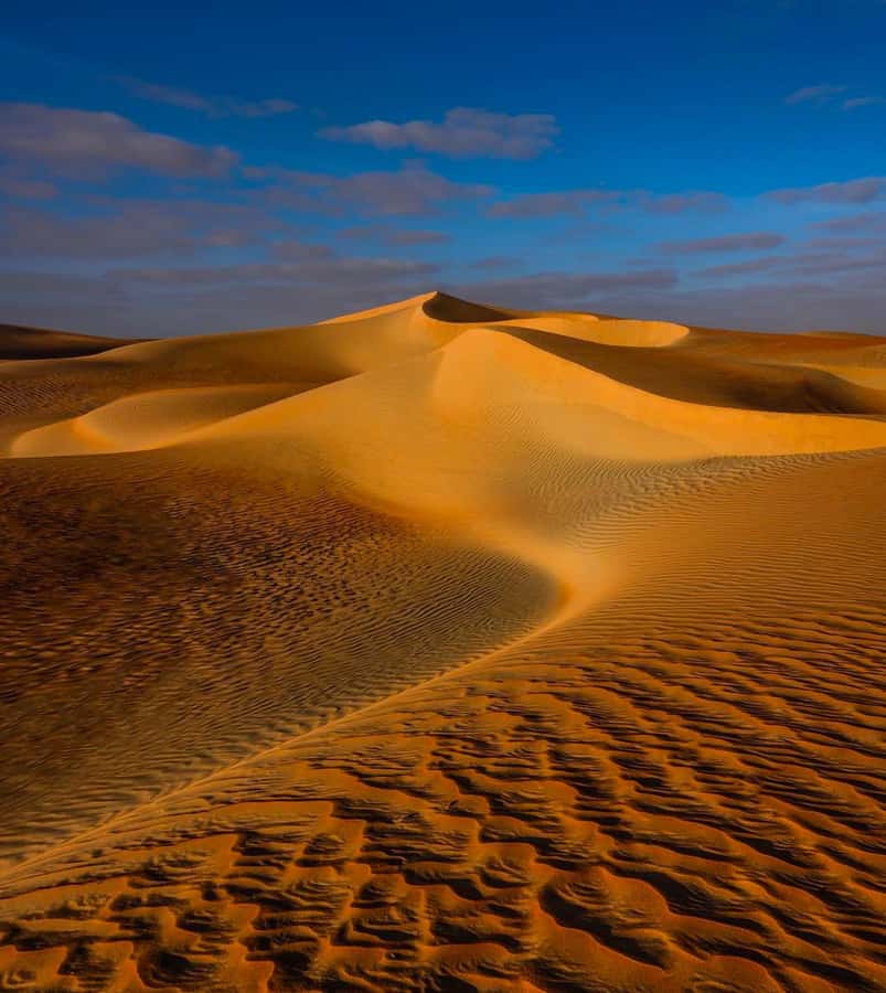 Private Gentle Sands Desert Experience Without Dune Bashing - Sandboarding on open slopes
