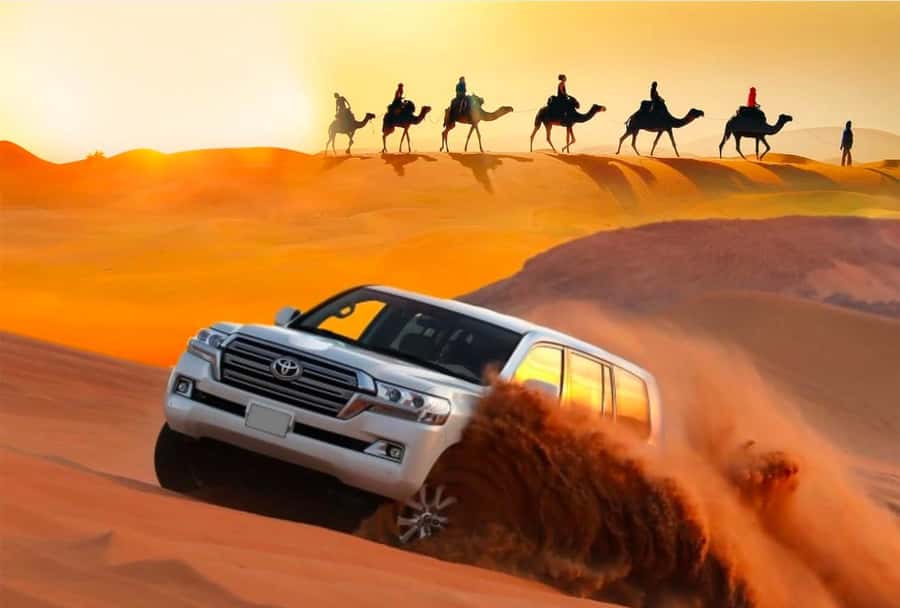 Private Gentle Sands Desert Experience Without Dune Bashing - How the guides shape the outing
