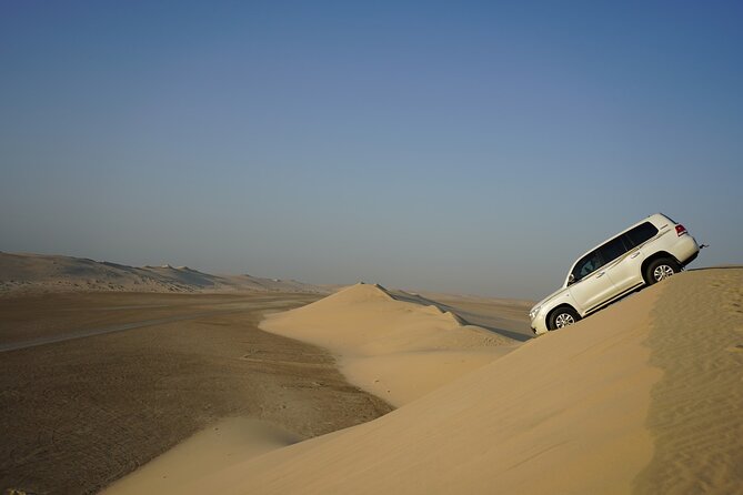 Private Half Day Desert Safari - What the 4x4 Ride Feels Like