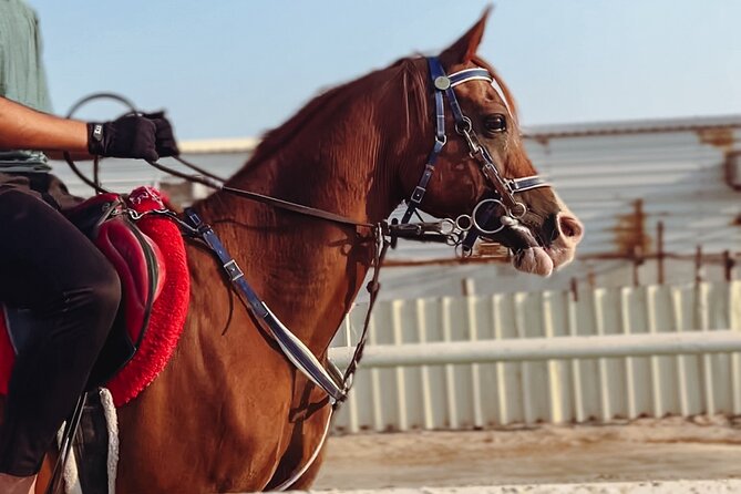 Private Horse and Camel Riding Experience in Doha - Key points to know before you book