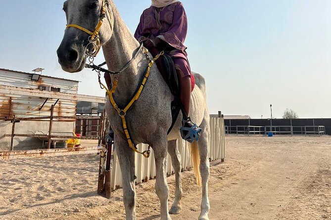 Private Horse and Camel Riding Experience in Doha - Is $150 per person a fair price?