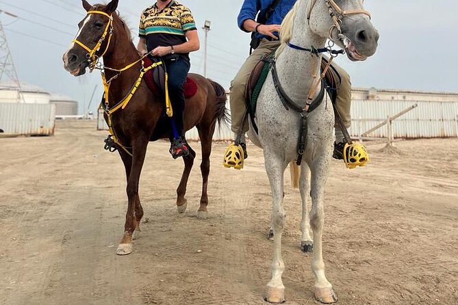 Private Horse and Camel Riding Experience in Doha - Safety, clothing, and what to bring