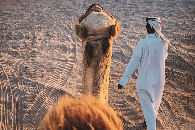 Private Horse and Camel Riding Experience in Doha - At Al Adeead Stables, meeting the Arabian horses