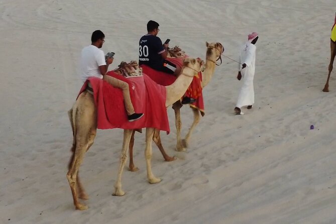 Private Horseback Riding Experience in Doha - Practical planning for a smoother ride