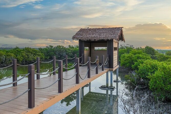 Private North of Qatar Tour - Why northern Qatar makes a good half-day escape