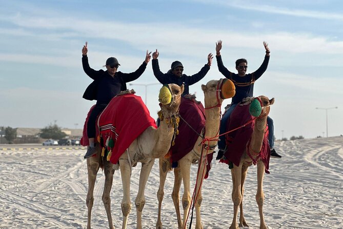 Private Sealine Beach Tour with Desert Activities - Sandboarding adds activity without a steep learning curve