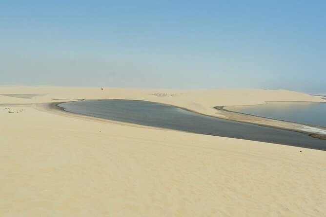 Private Sealine Beach Tour with Desert Activities - Sealine Beach changes the mood