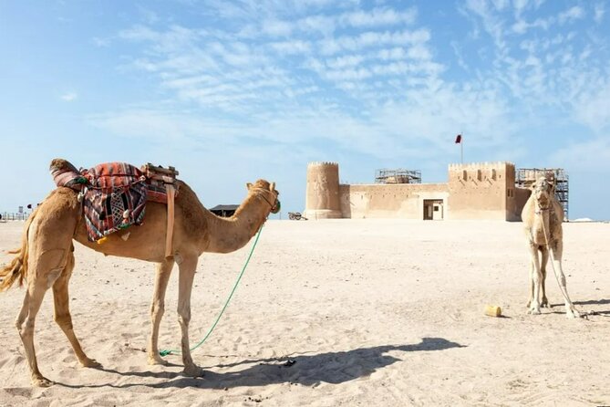 Private Tour in Northern Qatar - What the private format adds at $50 per person