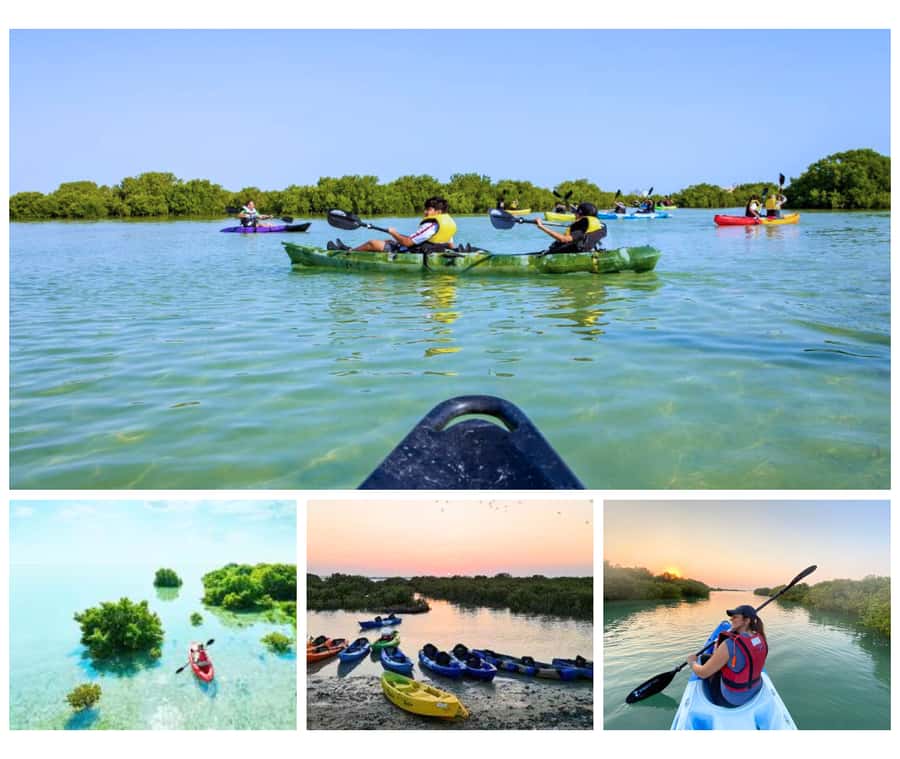 Qatar: Al Thakira Mangrove Forest Kayaking Tour - Key points to know before booking