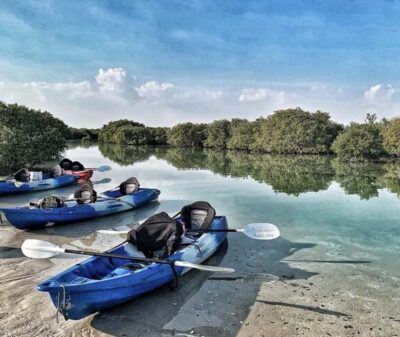 Al Thakira Mangrove Forest Kayaking Tour