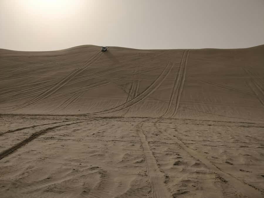 Qatar: Desert Safari, Camel Ride, Inland sea, Sandboarding - Sandboarding for beginners and daredevils