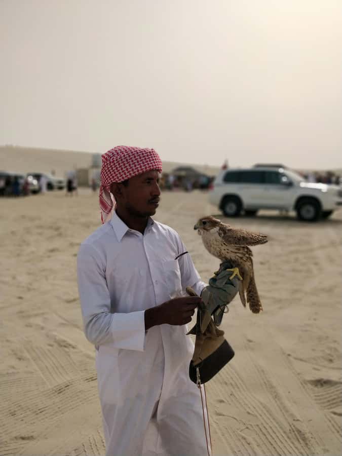 Qatar: Desert Safari, Camel Ride, Inland sea, Sandboarding - What the $19 price really offers
