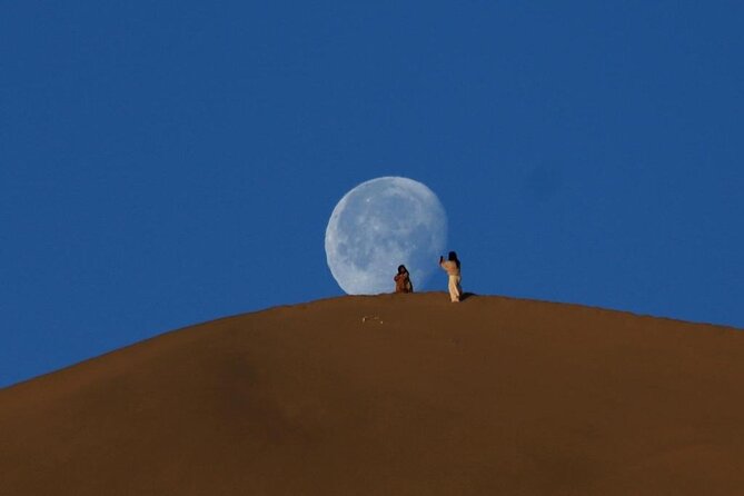 Qatar Desert Safari, Dune Bashing (Private Safari Tour) - Is $90 per person good value?