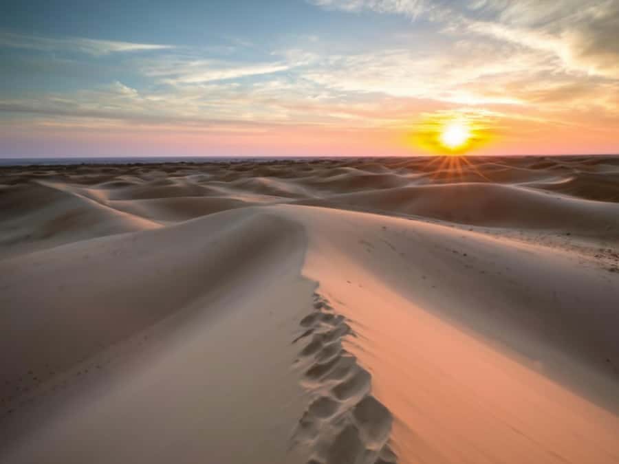 Qatar Desert Safari, Quad bike, Camel Ride and Sandboarding - Dune bashing near the Inland Sea