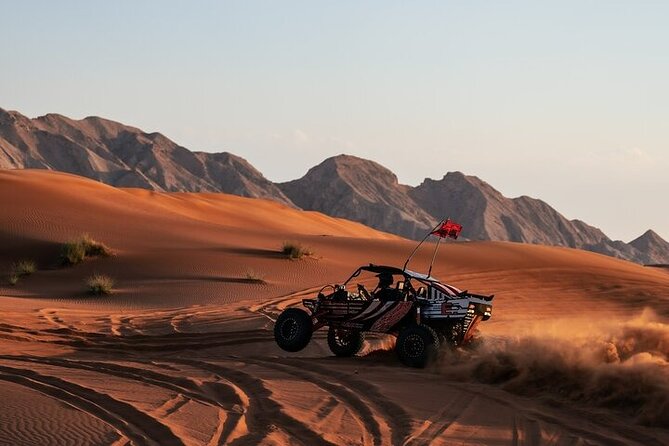 Qatar Desert Thrills Self Ride Dune Buggy Safari and Camel Ride - Who will enjoy this experience most