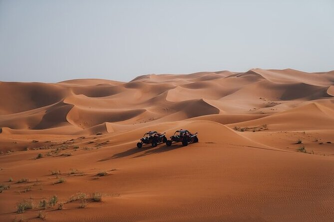Qatar Desert Thrills Self Ride Dune Buggy Safari and Camel Ride - Practical booking advice for Doha