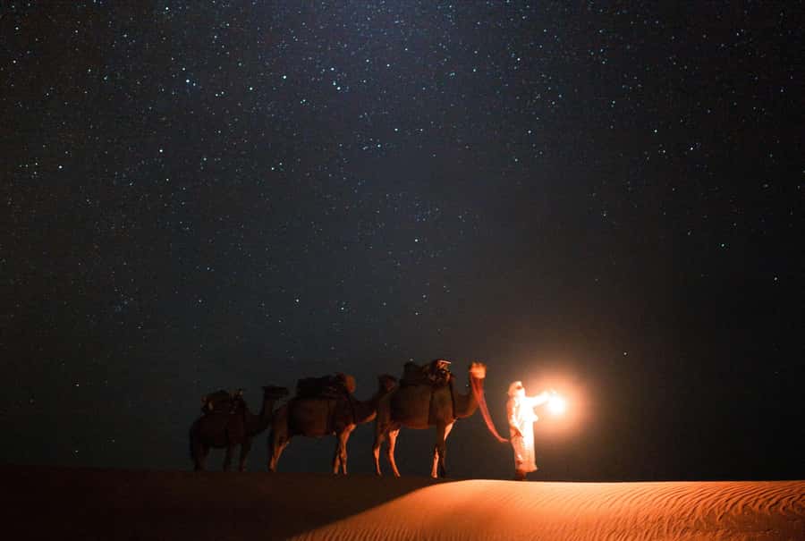 Qatar: Night Desert Safari| Camel Ride| Inland Sea Beach - Sealine Beach Road and the Inland Sea