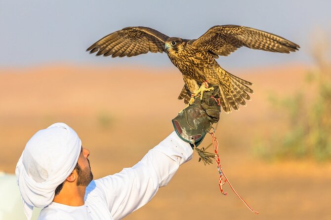 Qatar: Sunrise or Sunset Desert Tour in Doha, unforgettable trip - What is included for $87.50?