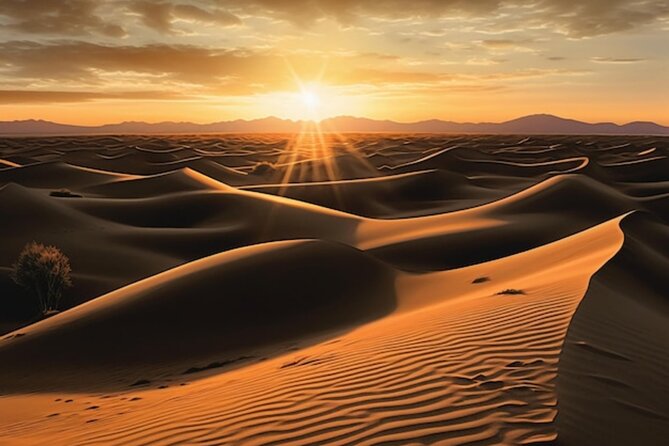 Qatar: Sunrise or Sunset Desert Tour in Doha, unforgettable trip - Who will enjoy this experience most?
